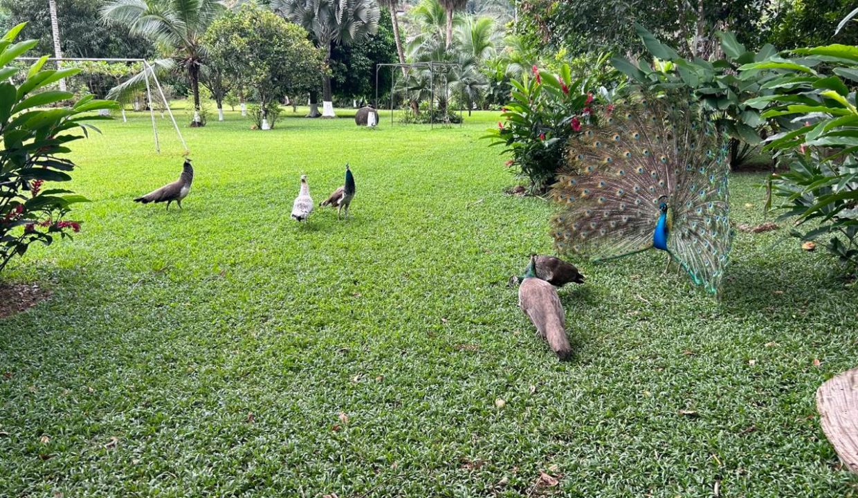 46511F98-72DD-46FA-BBFD-4D49E8C245F9-1