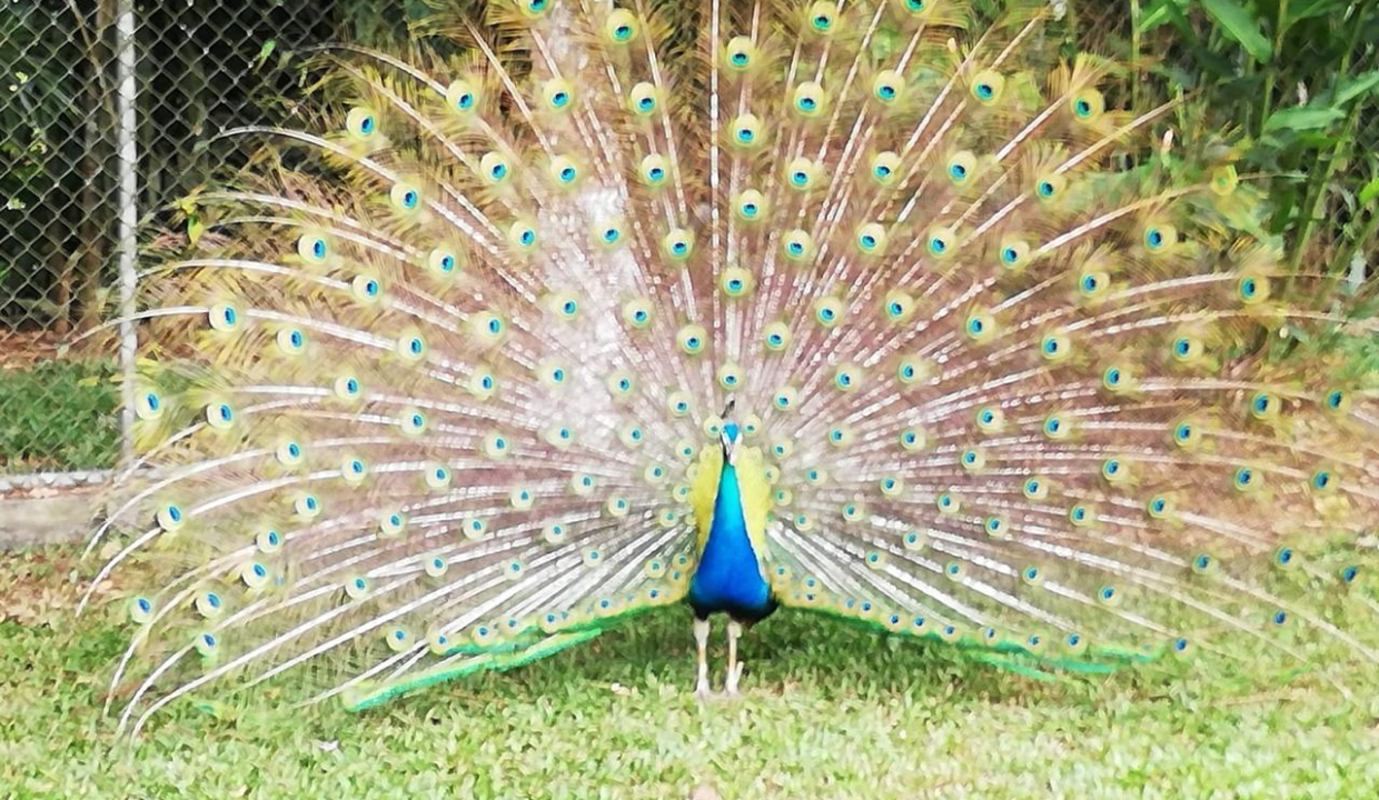 B570535F-8BBD-44BE-9E7E-C3B338F0162E-1